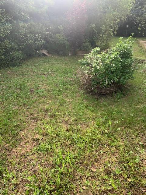 Casa indipendente con giardino a Cascina