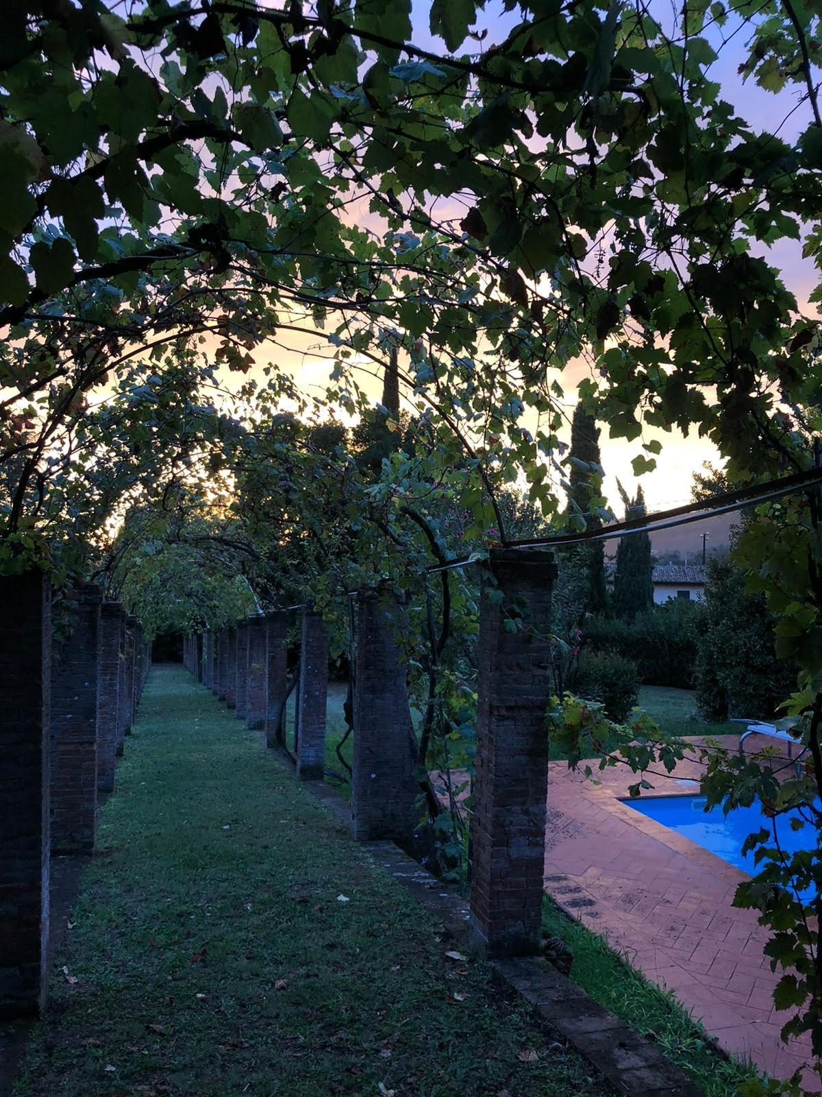 Villa con giardino a Calci