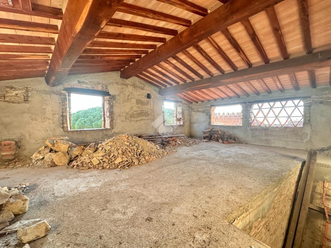 Rustico con giardino a Calci