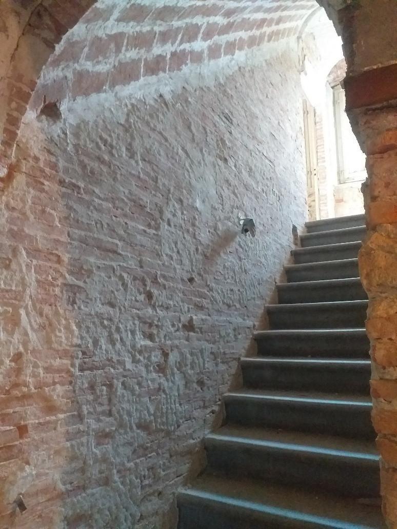 Rustico con giardino a Calci