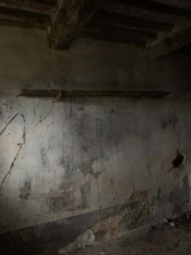 Rustico con giardino a Calci