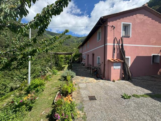 Rustico con giardino a Calci