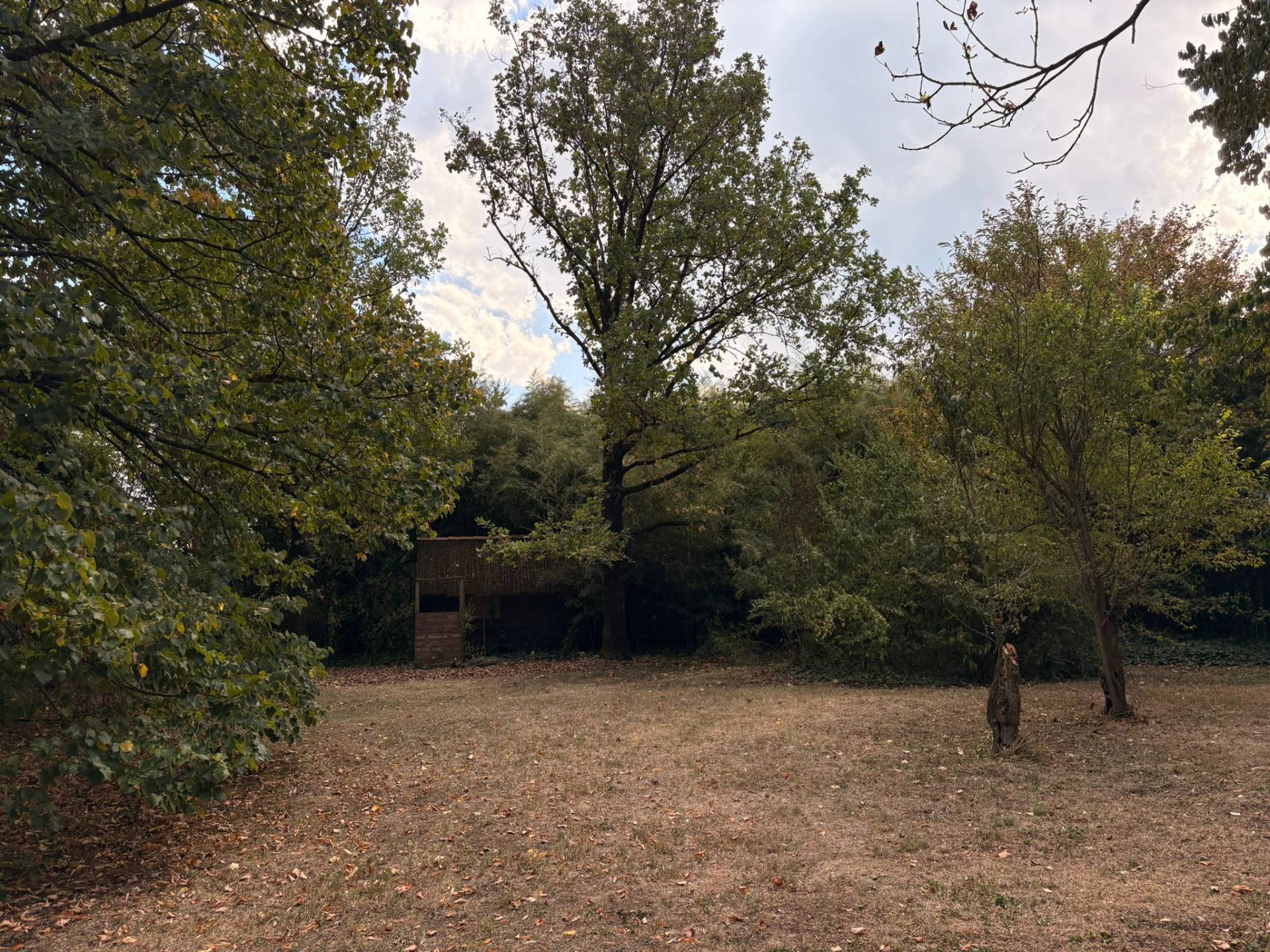 Villa in vendita a San Cesario sul Panaro, Altol