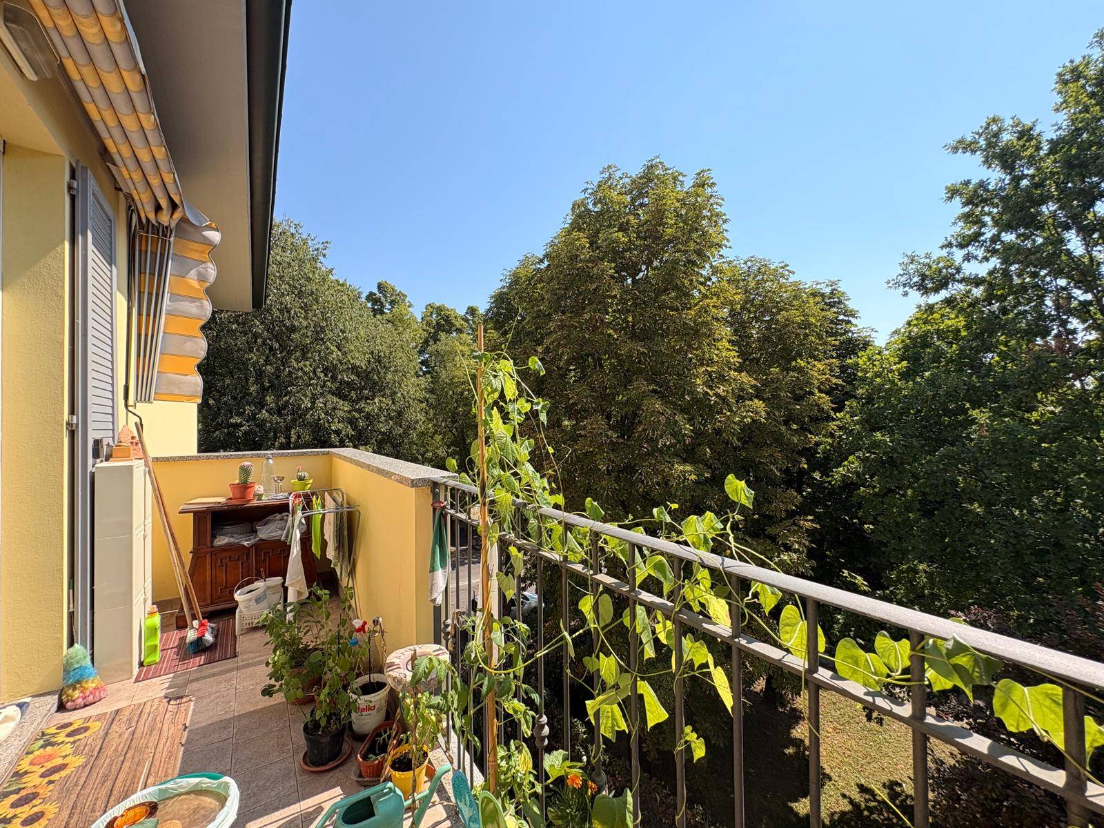 Appartamento in vendita a Castelfranco Emilia