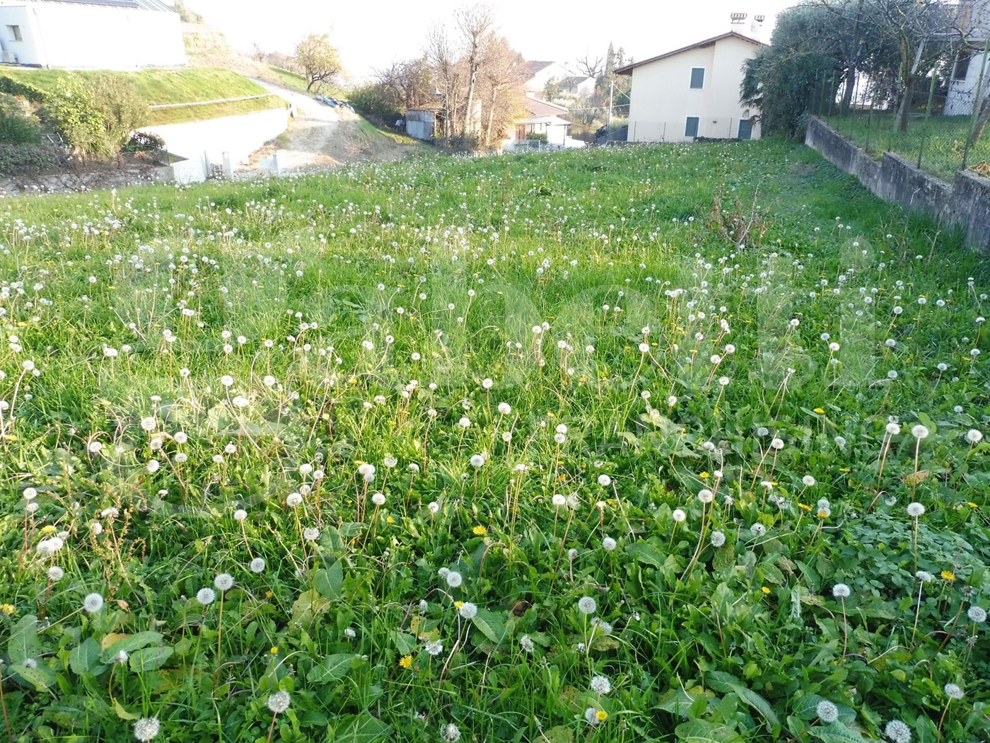 Terreno Edificabile in vendita a Pianezze