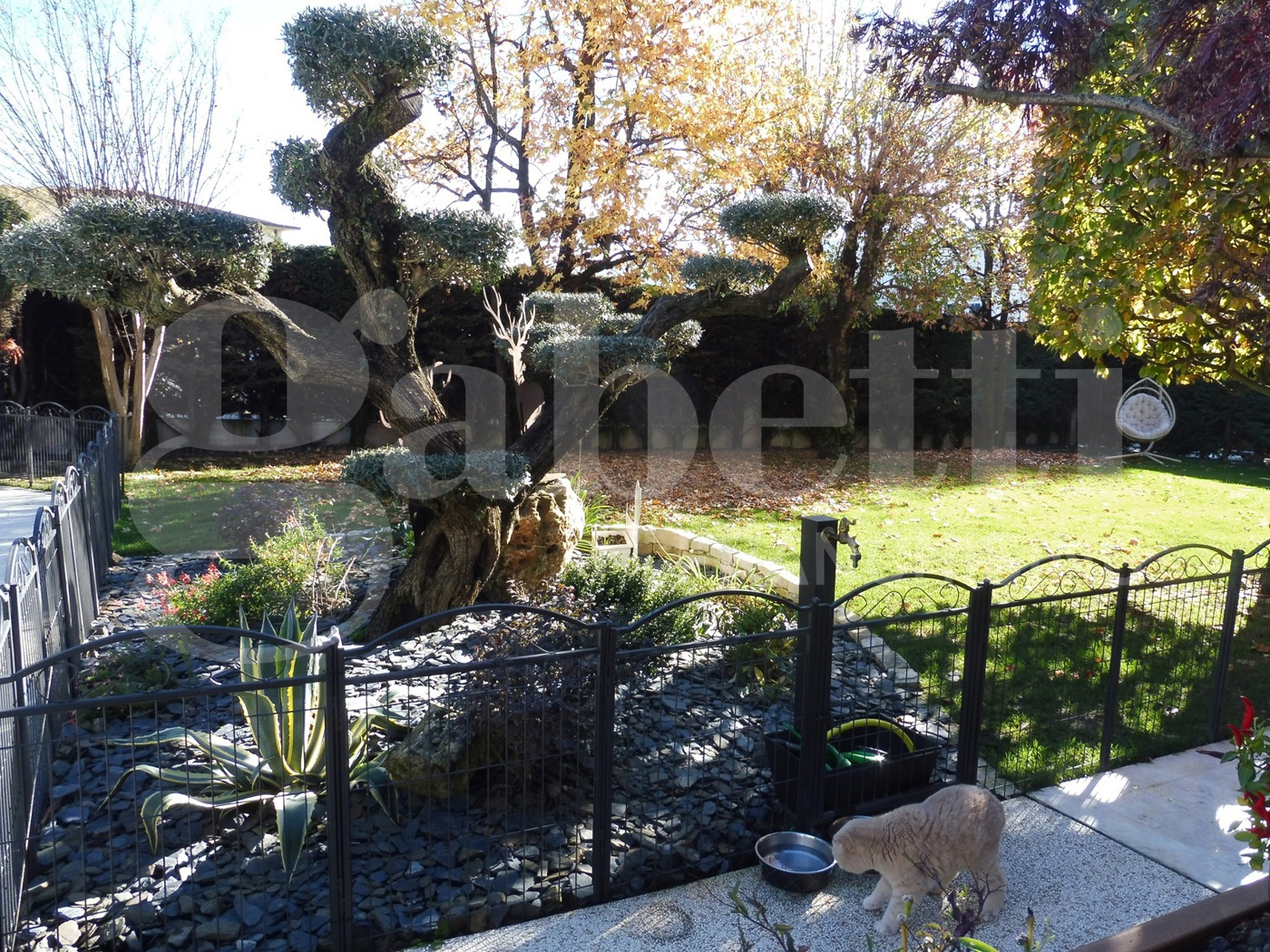 Villa con giardino a Sandrigo