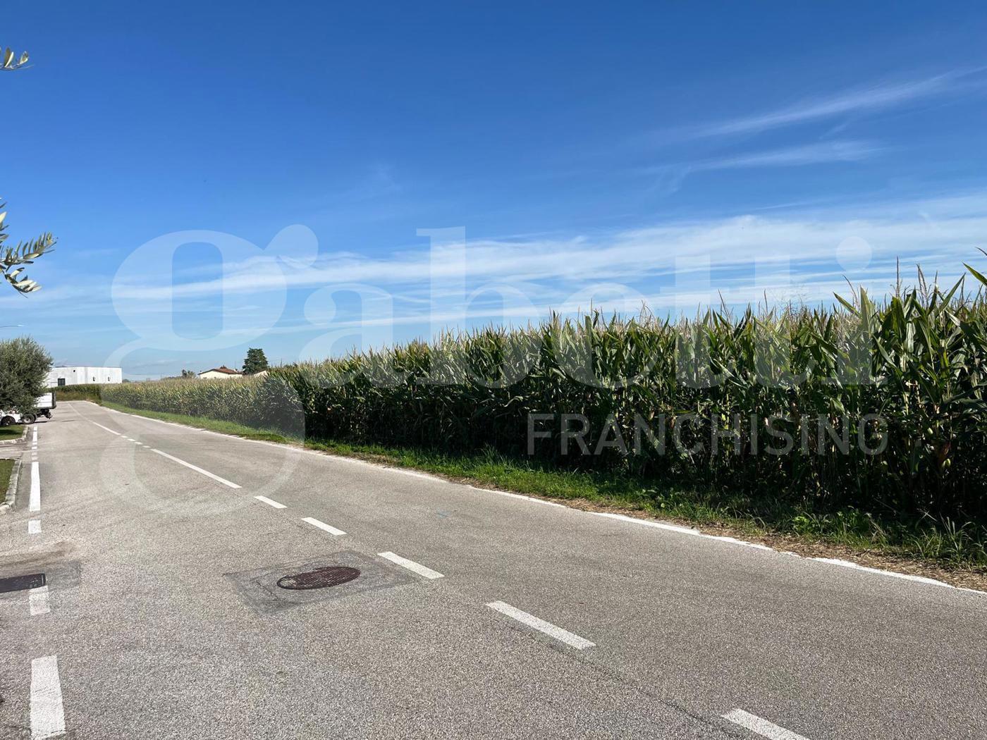 Terreno Agricolo in vendita a Marostica
