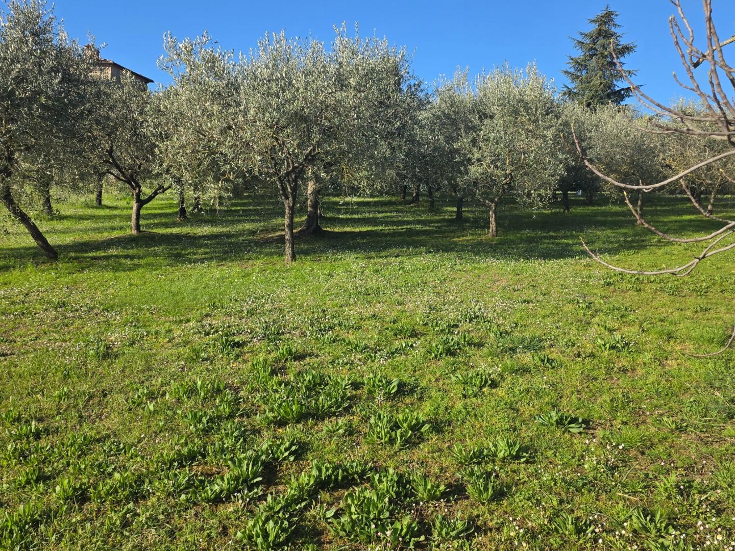 Rustico con giardino a Montepulciano