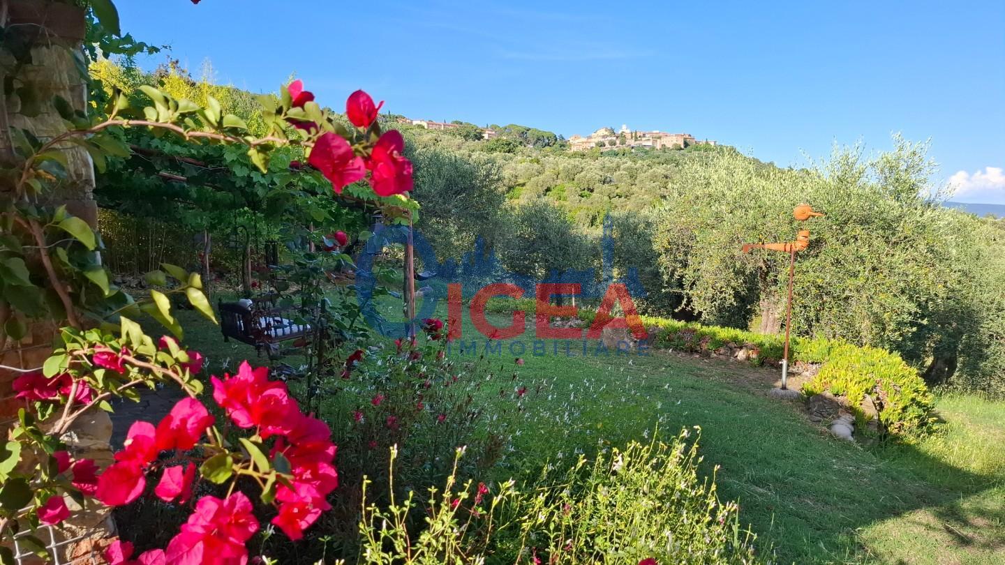 Rustico con giardino, Gavorrano giuncarico