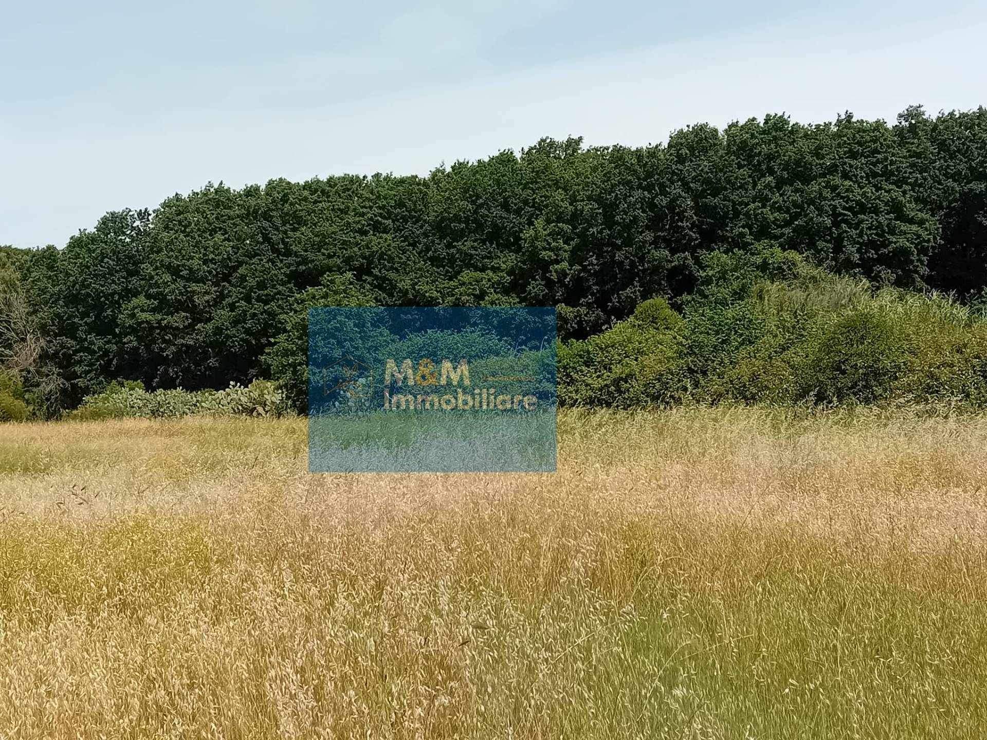 Terreno Agricolo in vendita a Nettuno