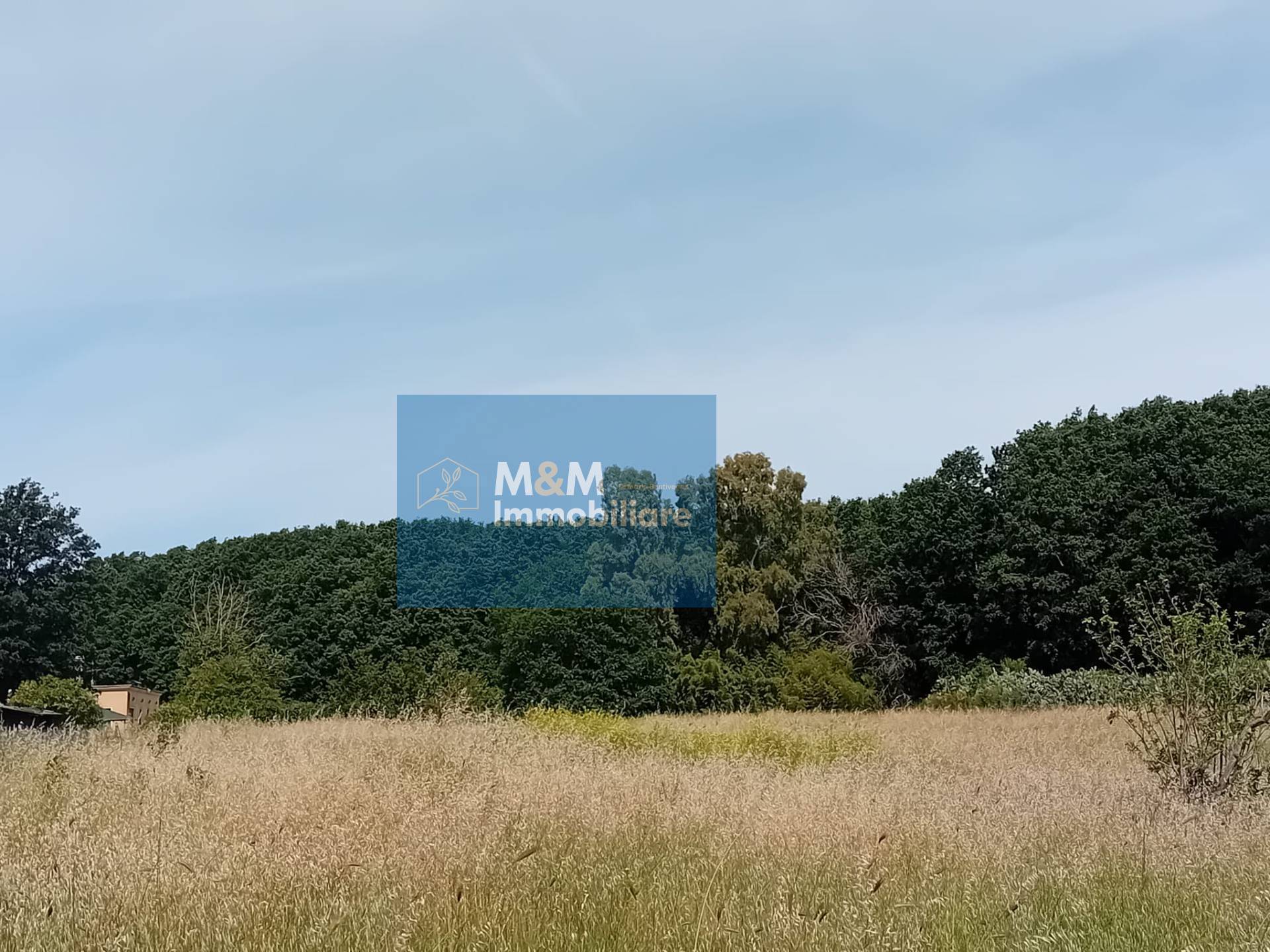 Terreno Agricolo in vendita a Nettuno