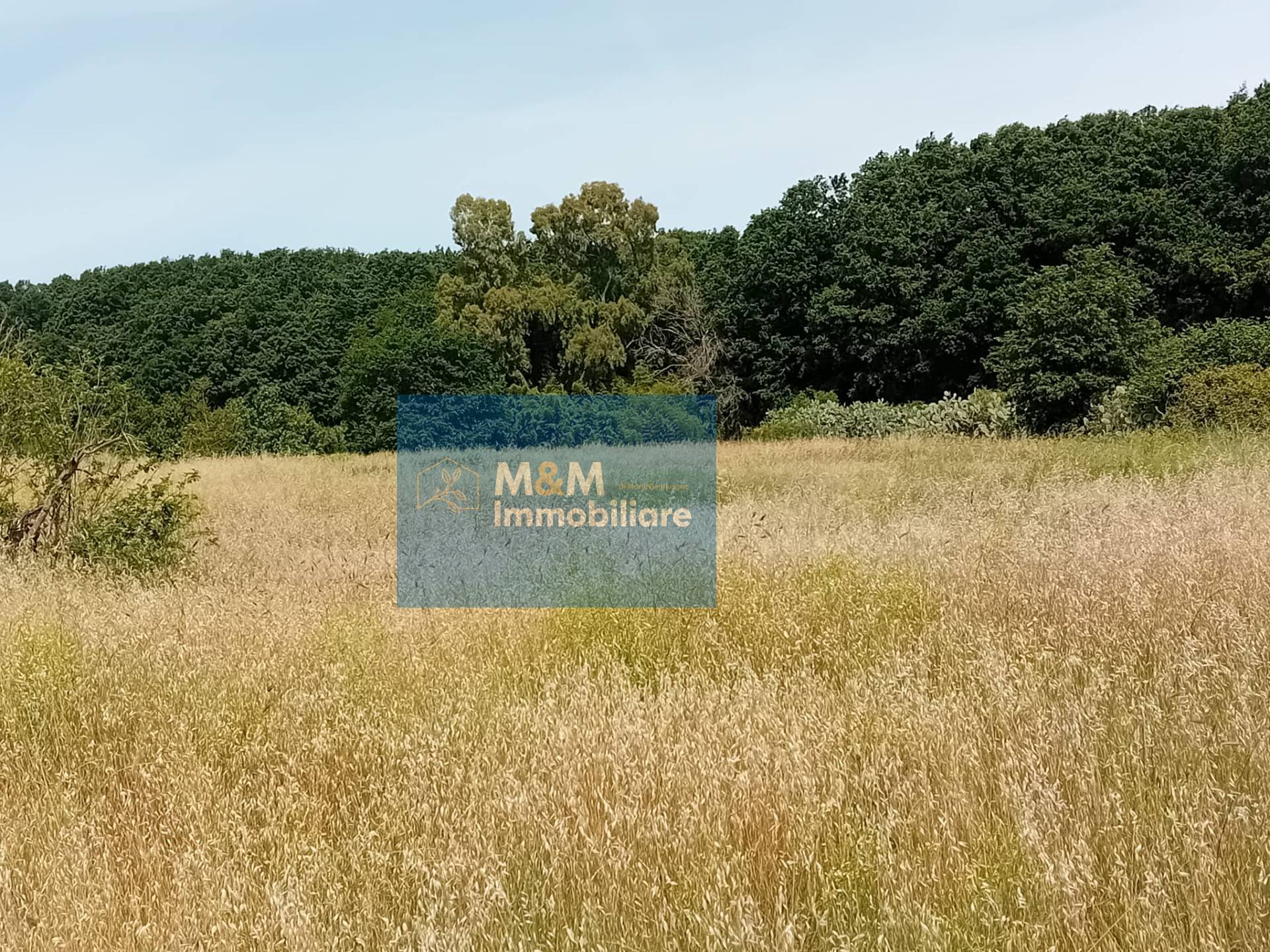 Terreno Agricolo in vendita a Nettuno