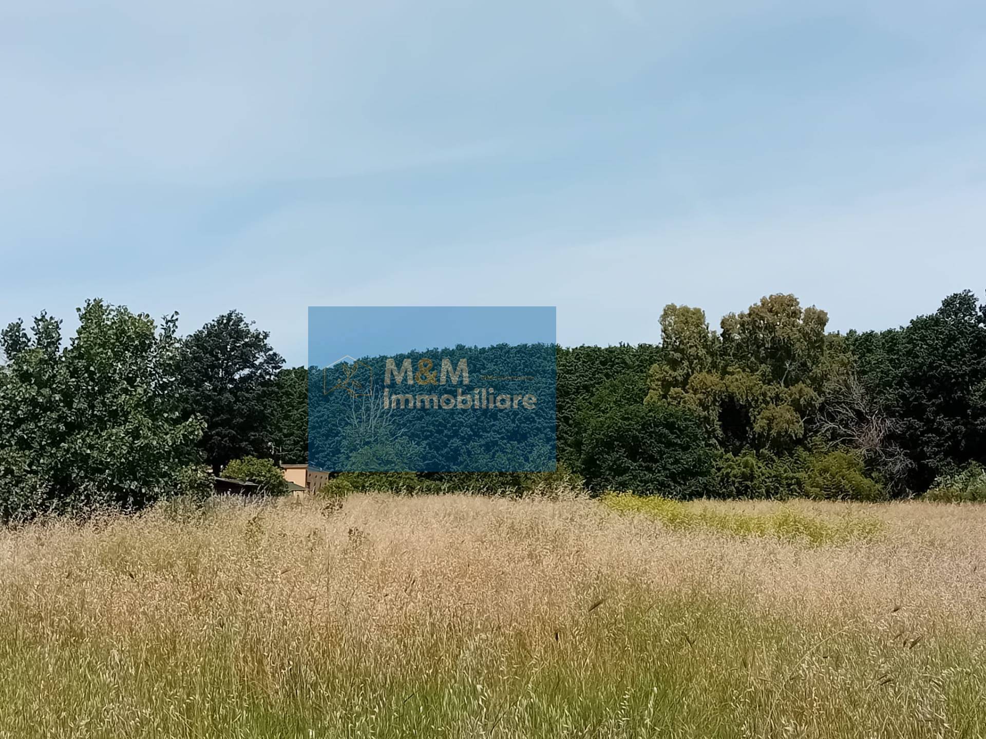 Terreno Agricolo in vendita a Nettuno