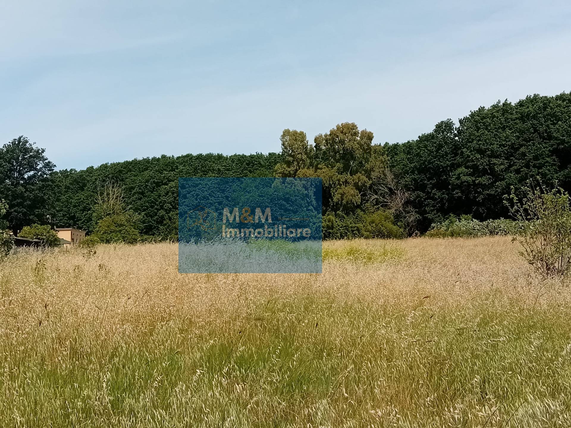 Terreno Agricolo in vendita a Nettuno
