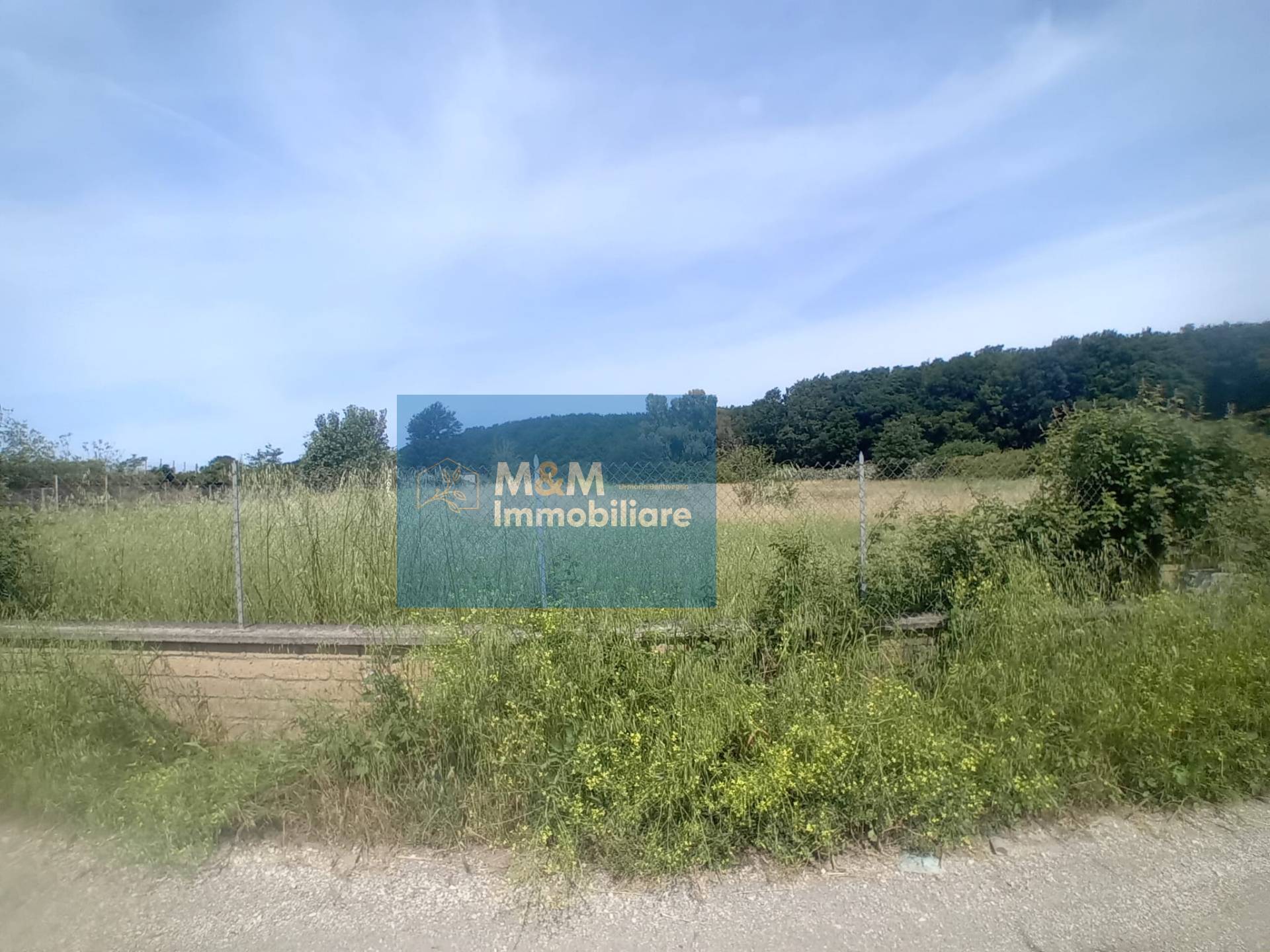 Terreno Agricolo in vendita a Nettuno