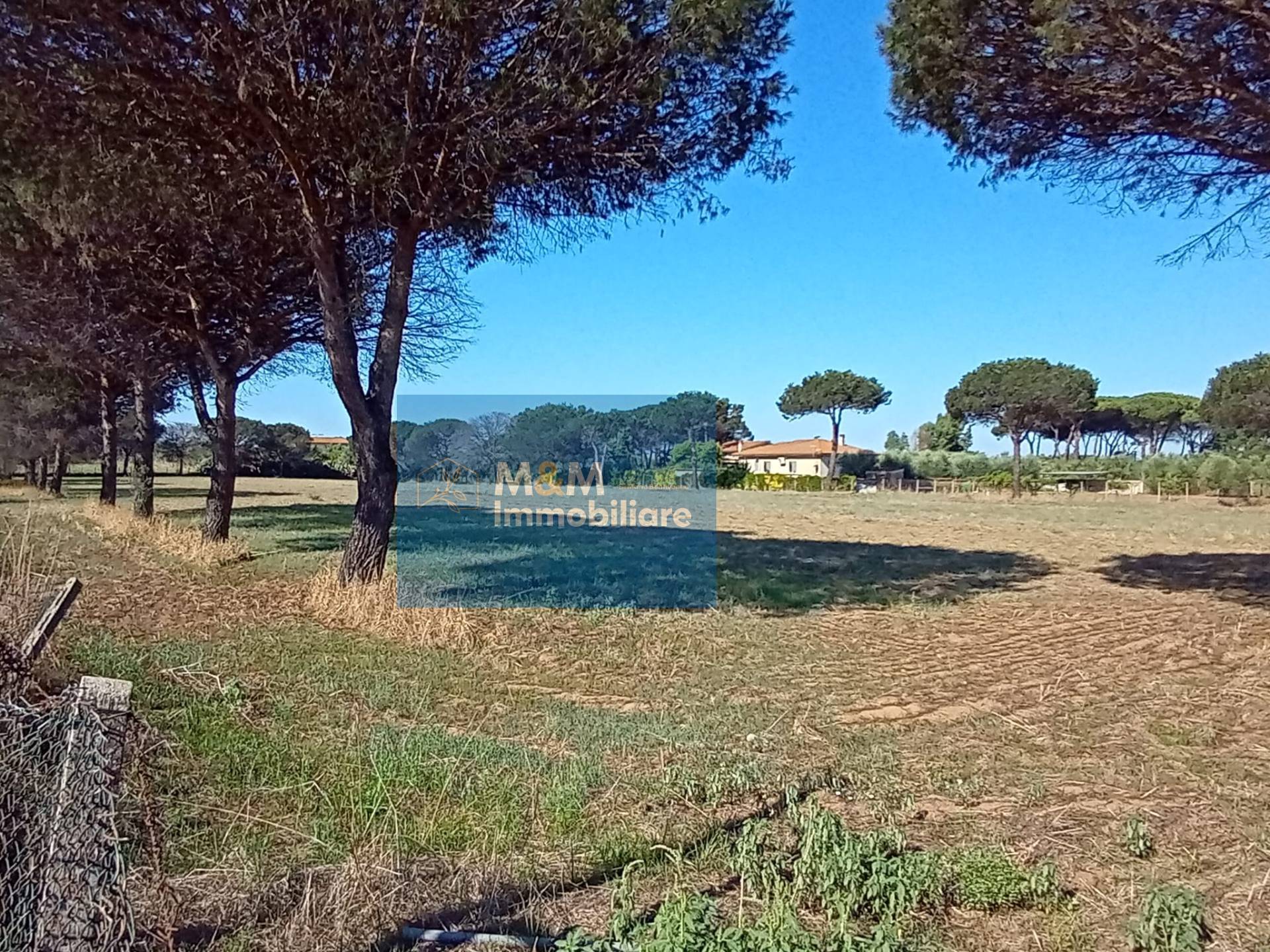Terreno Agricolo in vendita a Nettuno, Tre Cancelli