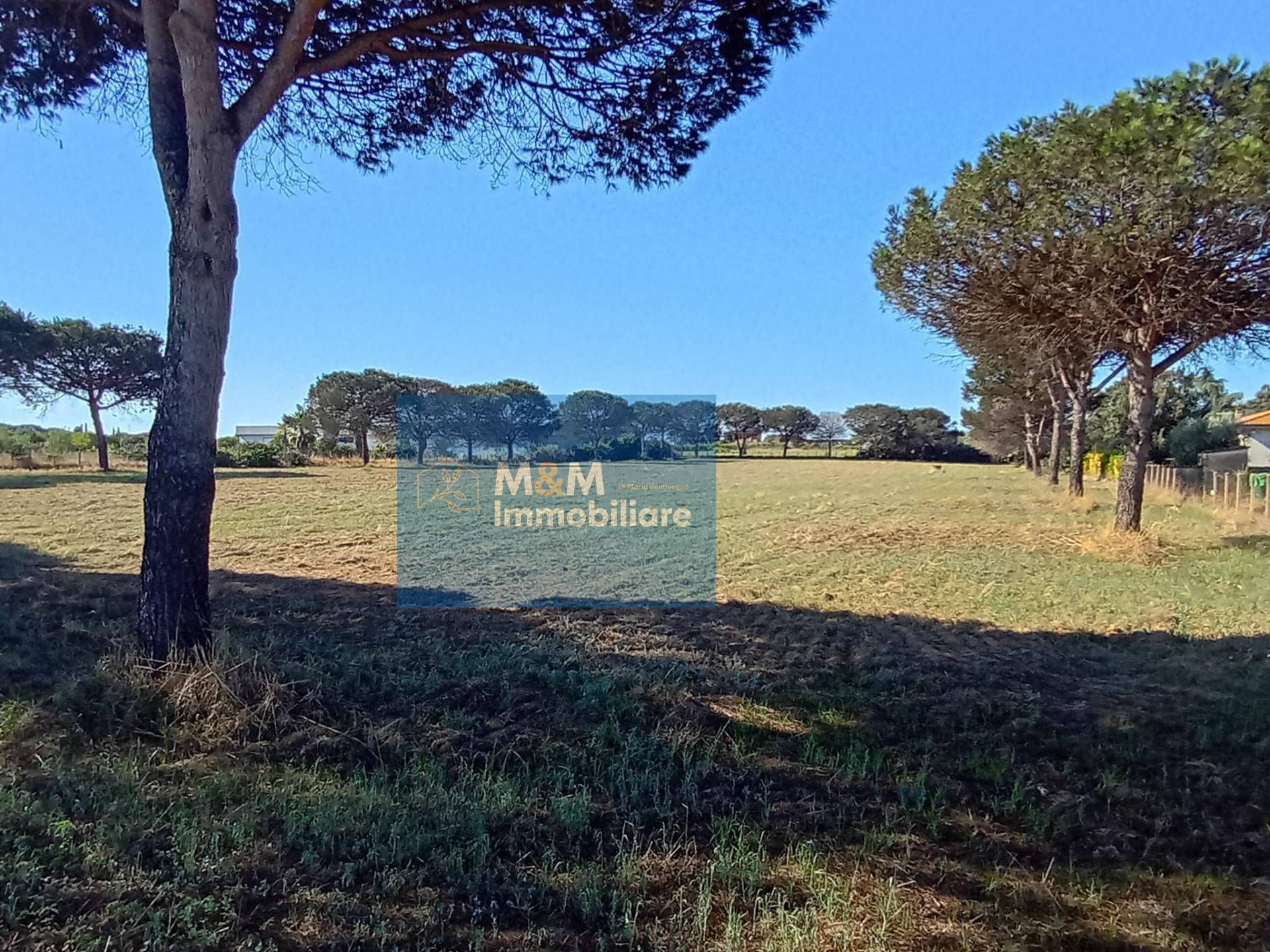 Terreno Agricolo in vendita a Nettuno, Tre Cancelli