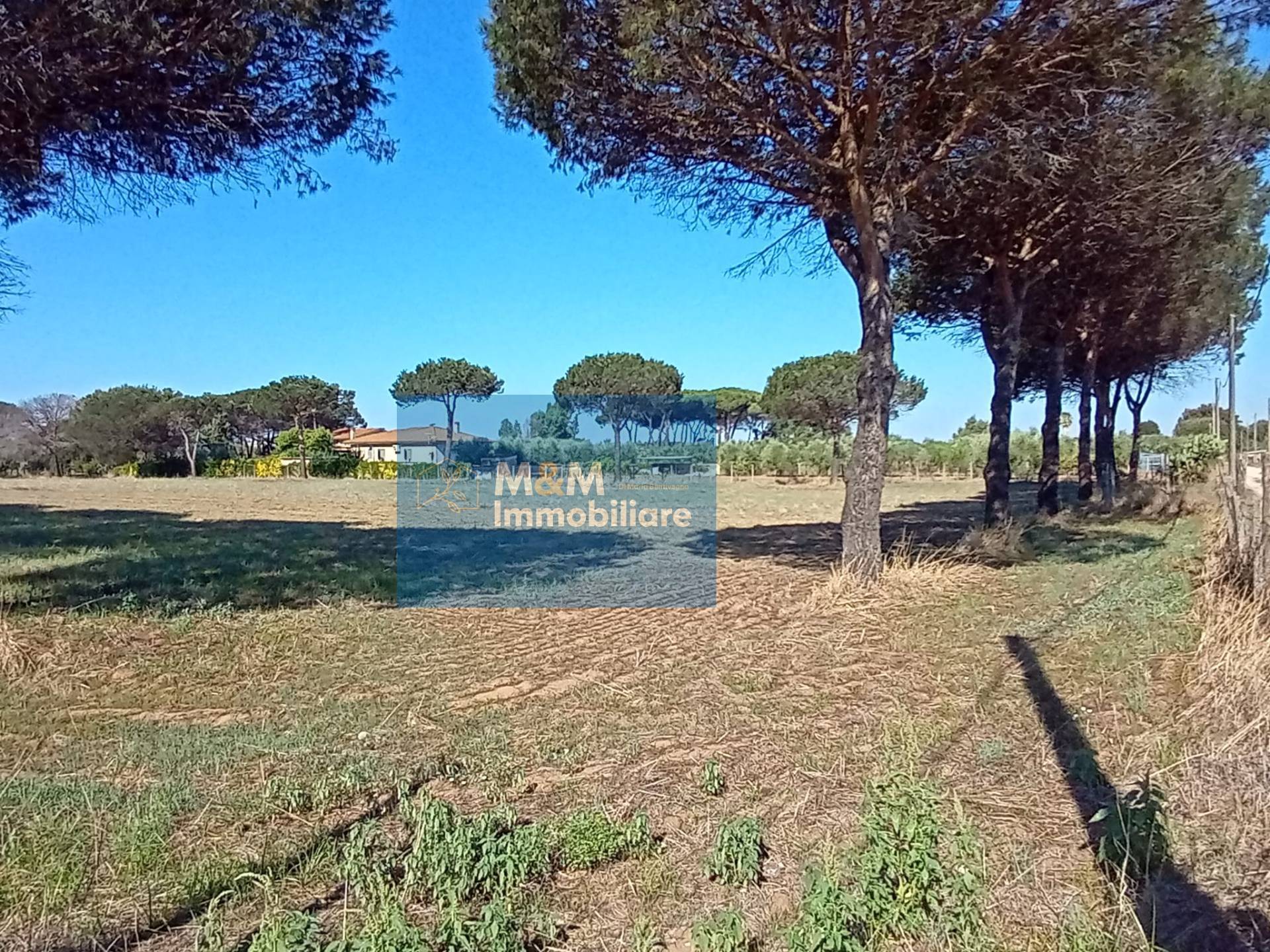 Terreno Agricolo in vendita a Nettuno, Tre Cancelli