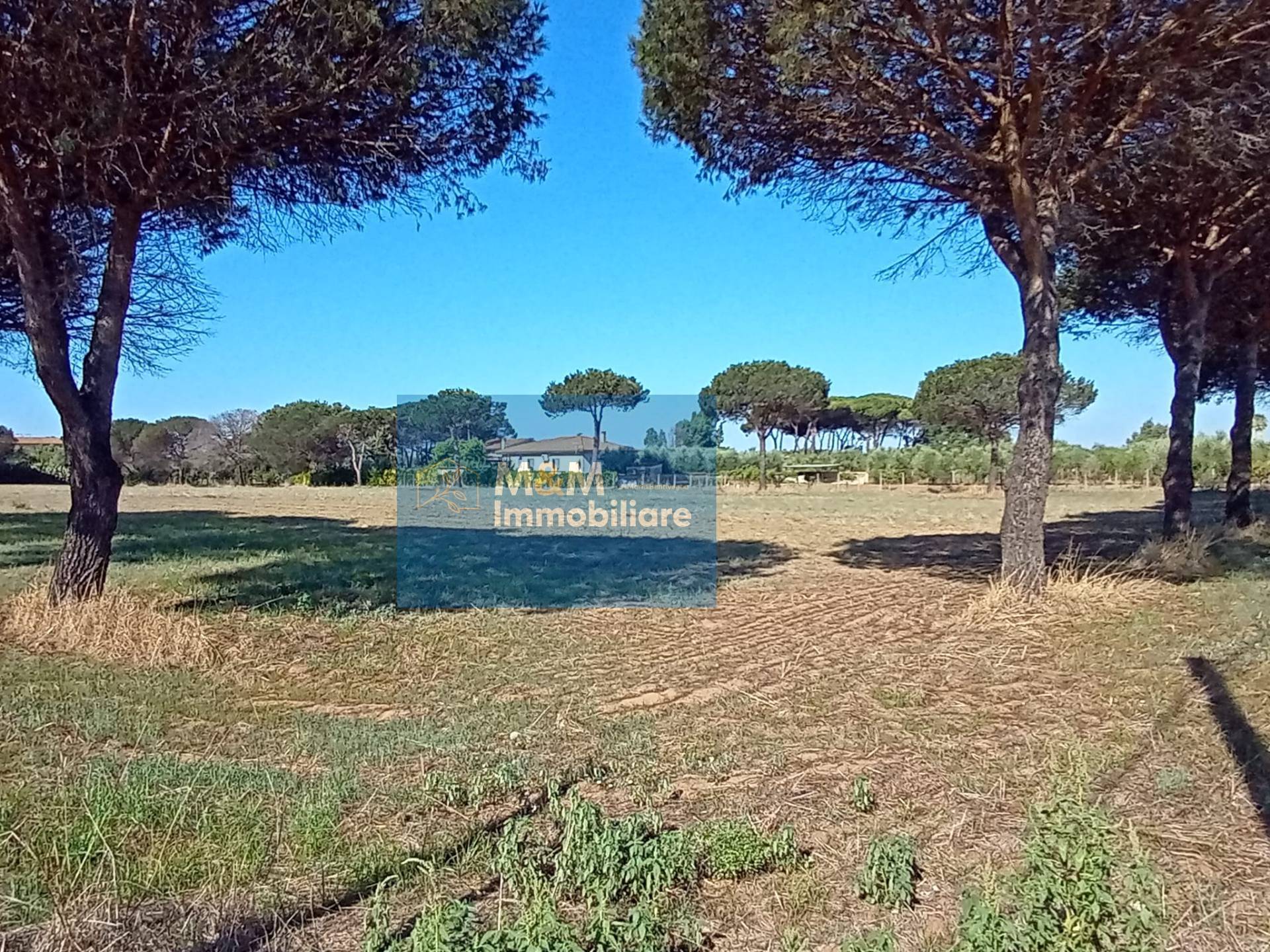Terreno Agricolo in vendita a Nettuno, Tre Cancelli