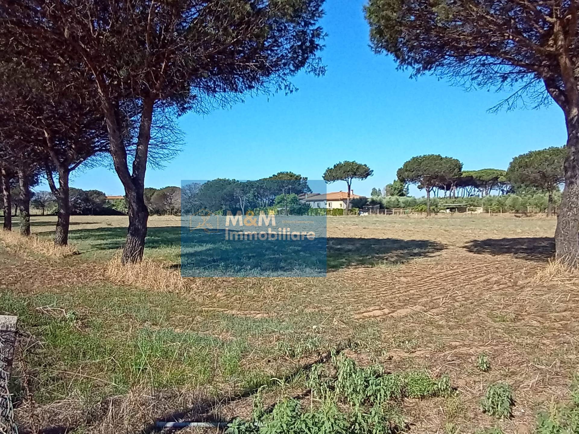 Terreno Agricolo in vendita a Nettuno, Tre Cancelli