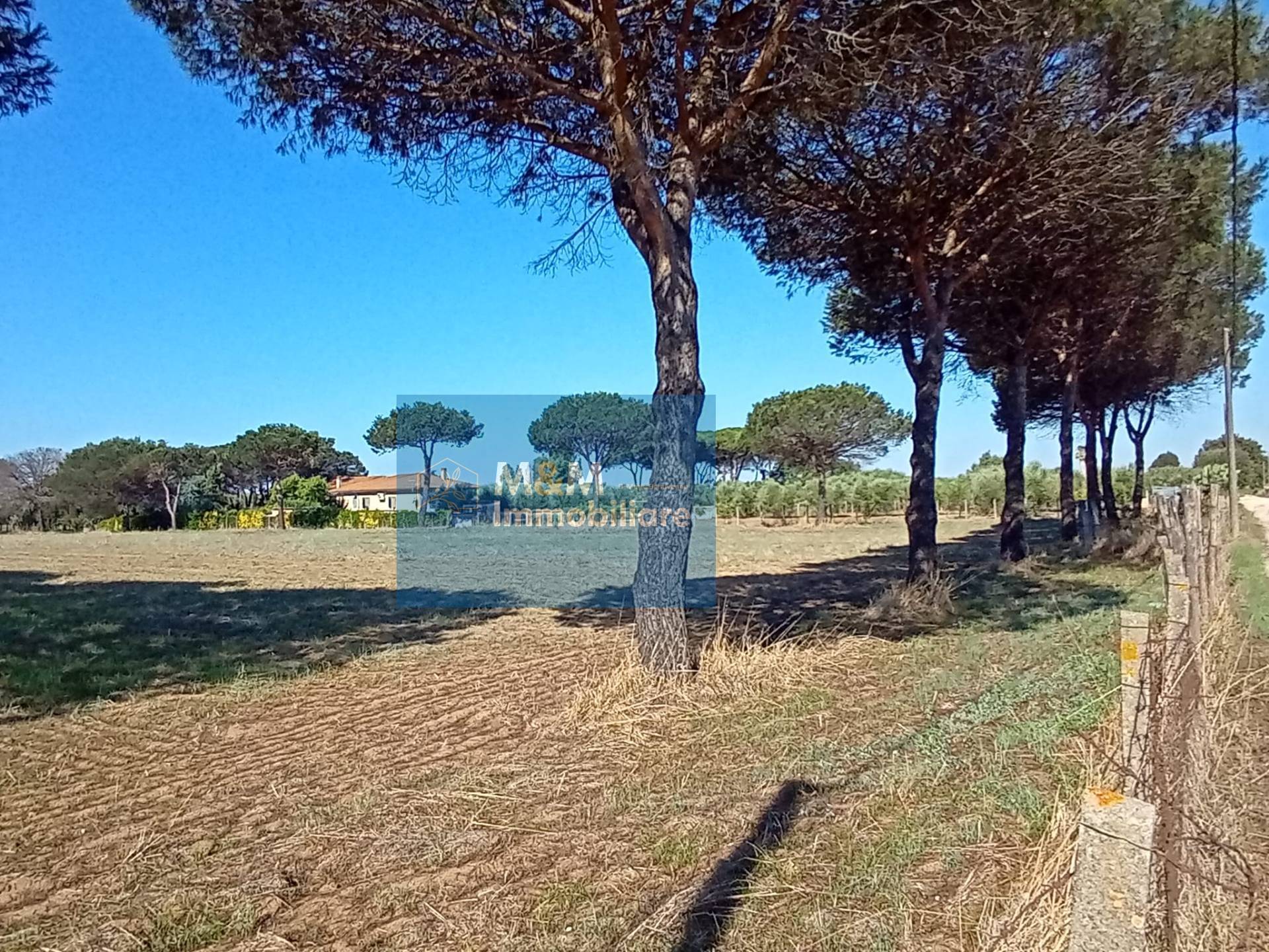 Terreno Agricolo in vendita a Nettuno, Tre Cancelli