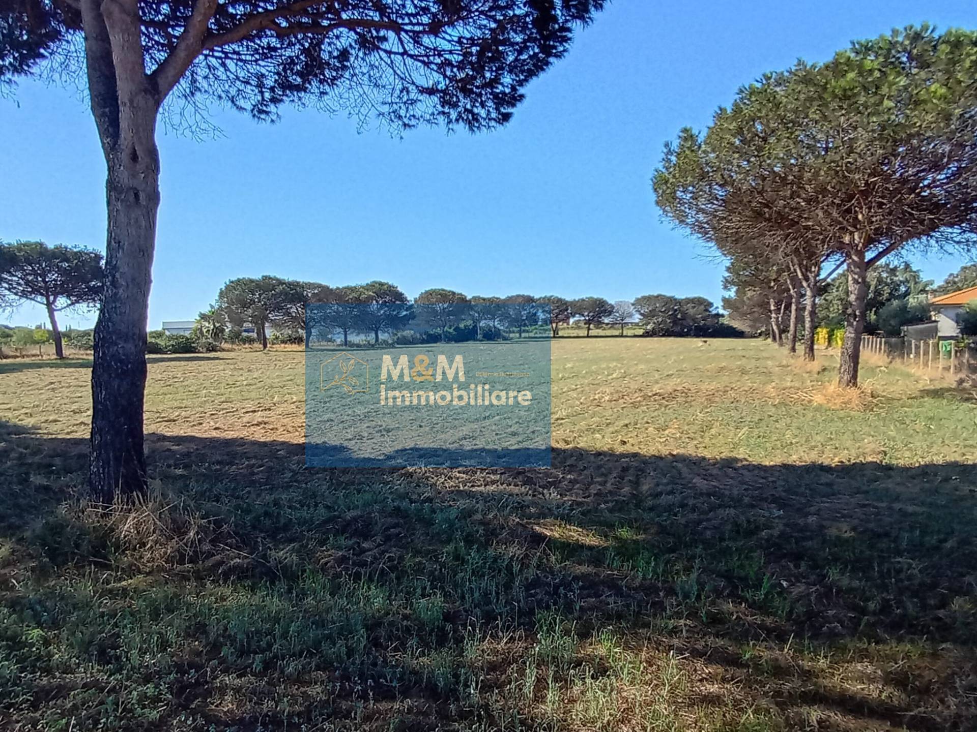 Terreno Agricolo in vendita a Nettuno, Tre Cancelli