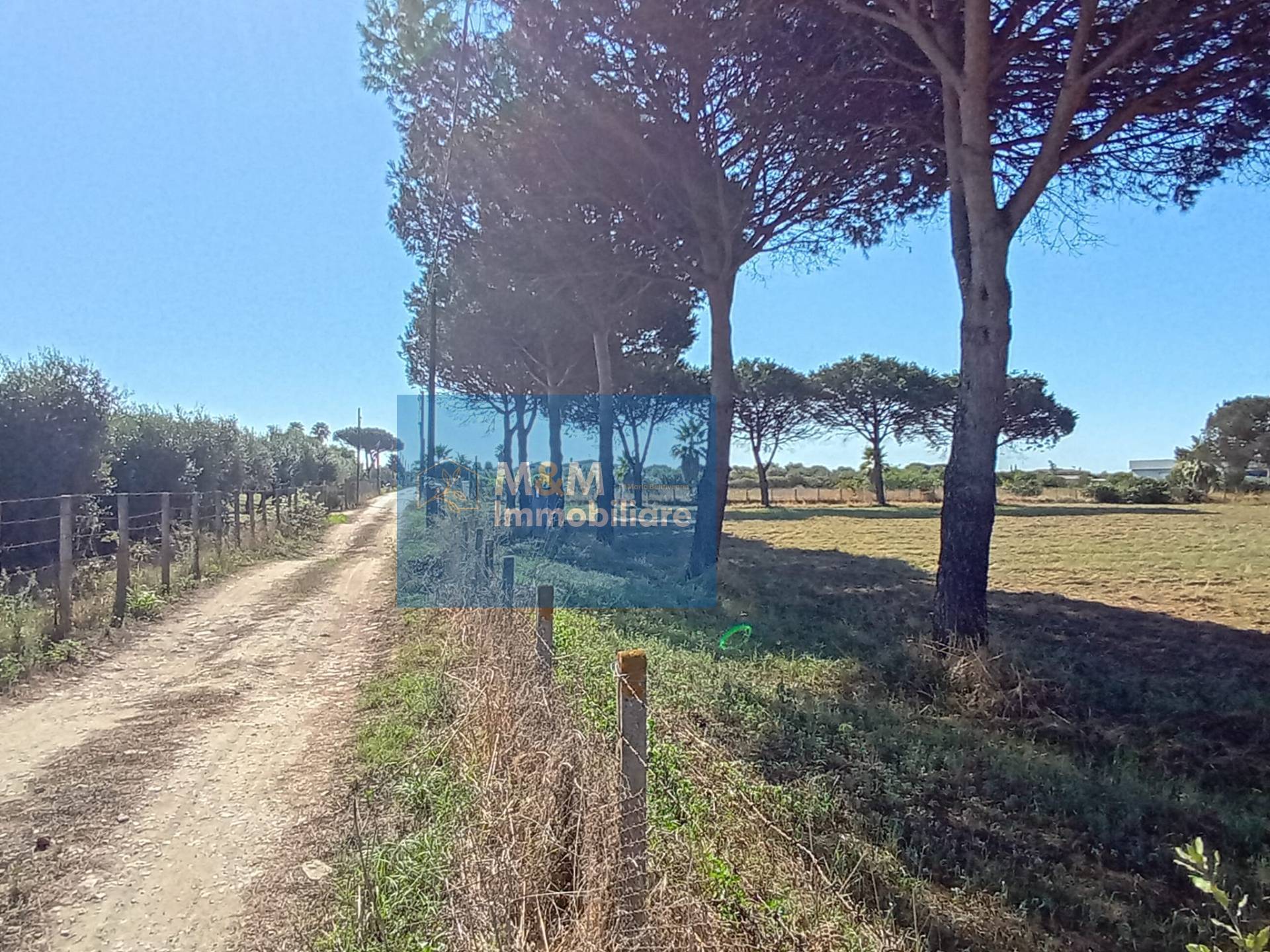 Terreno Agricolo in vendita a Nettuno, Tre Cancelli