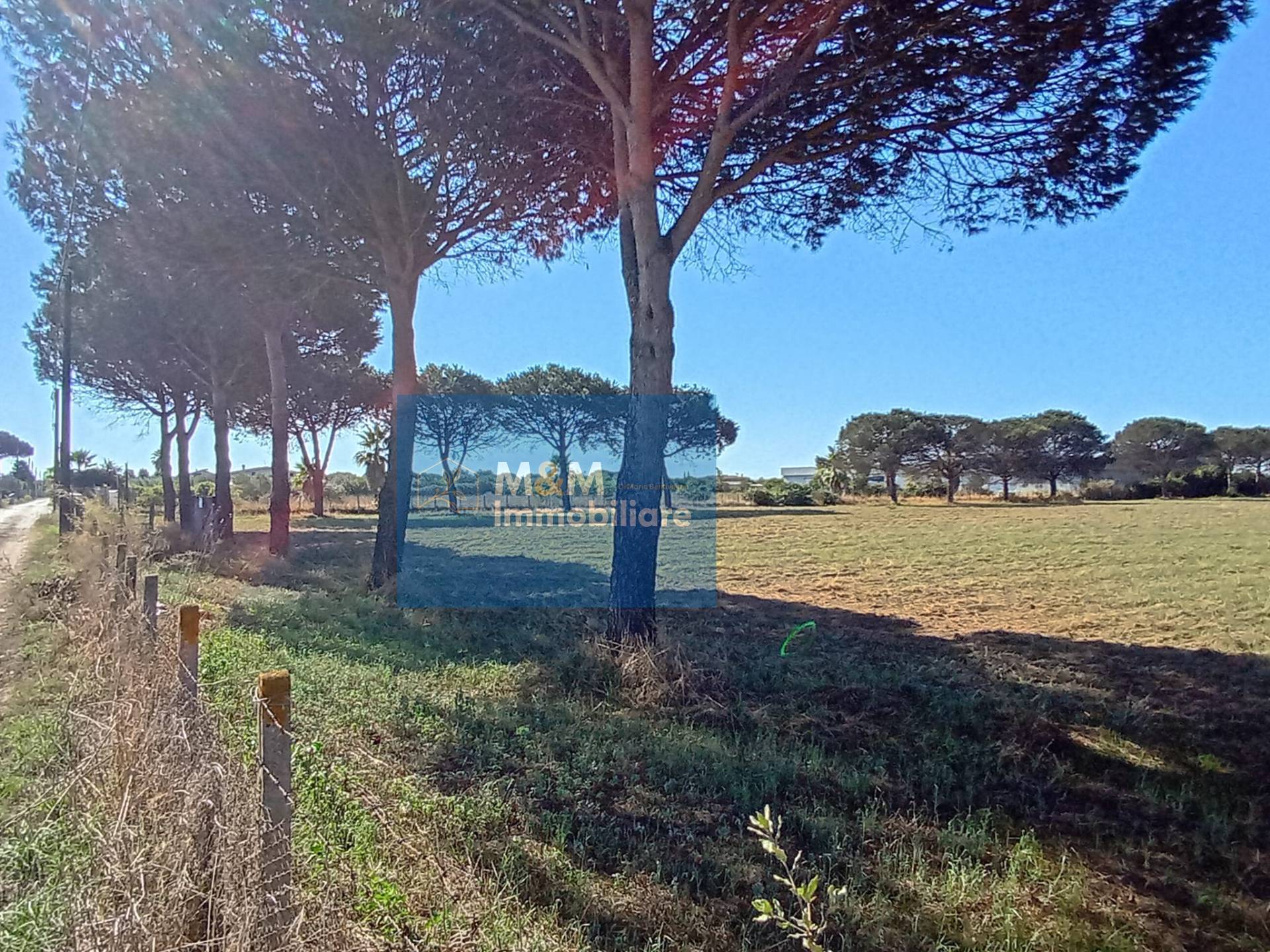 Terreno Agricolo in vendita a Nettuno, Tre Cancelli