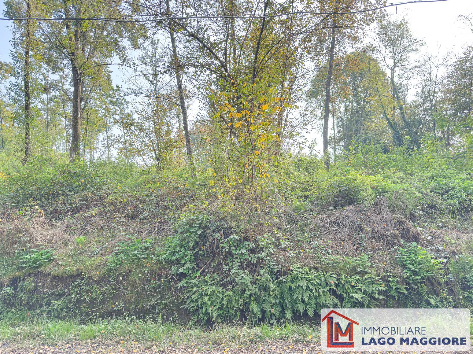 Terreno Agricolo in vendita a Malgesso, Cascina Mirabello