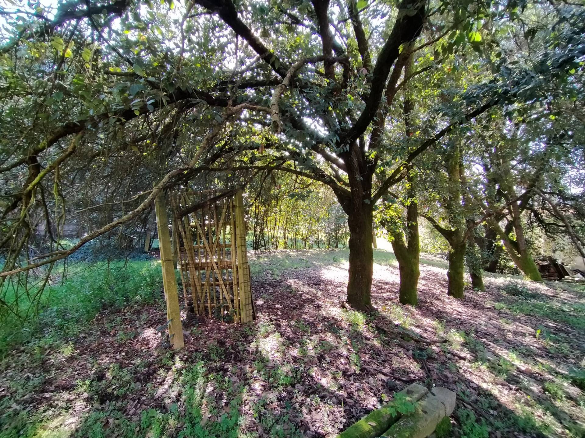 Casa singola in vendita a Marsciano, Schiavo