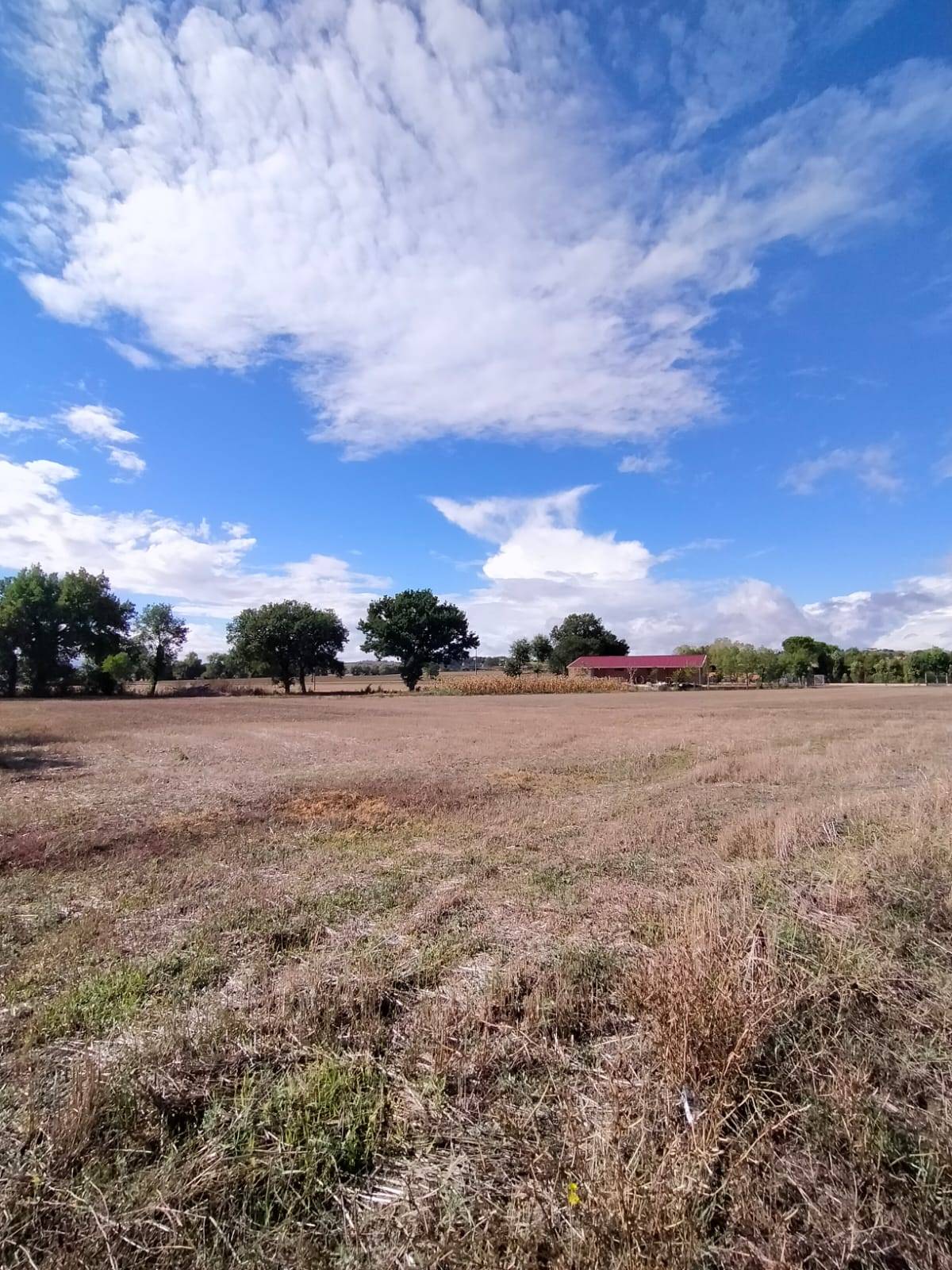Terreno edificabile in vendita a Marsciano, Papiano