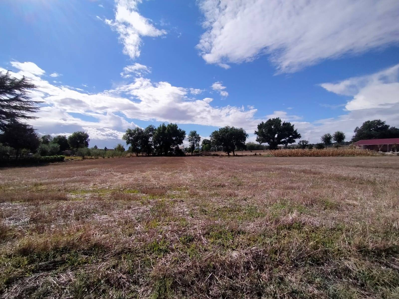 Terreno edificabile in vendita a Marsciano, Papiano
