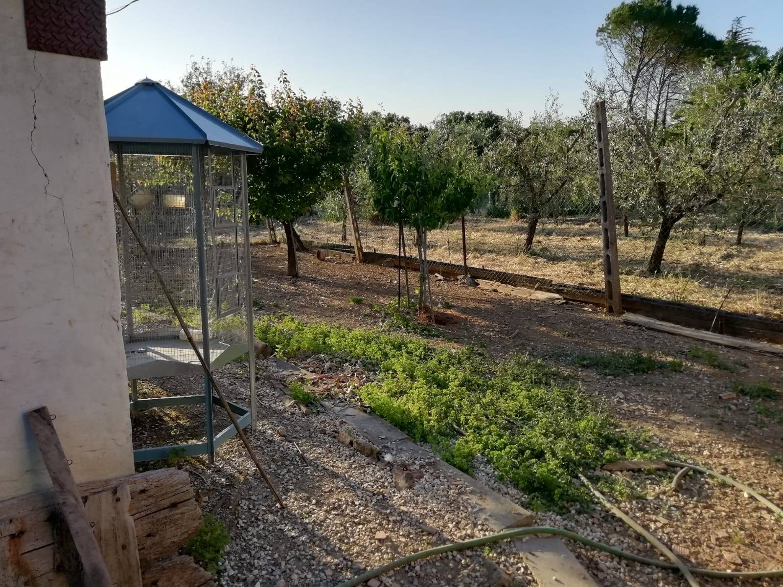 Casa singola in vendita a Marsciano, San Biagio della Valle