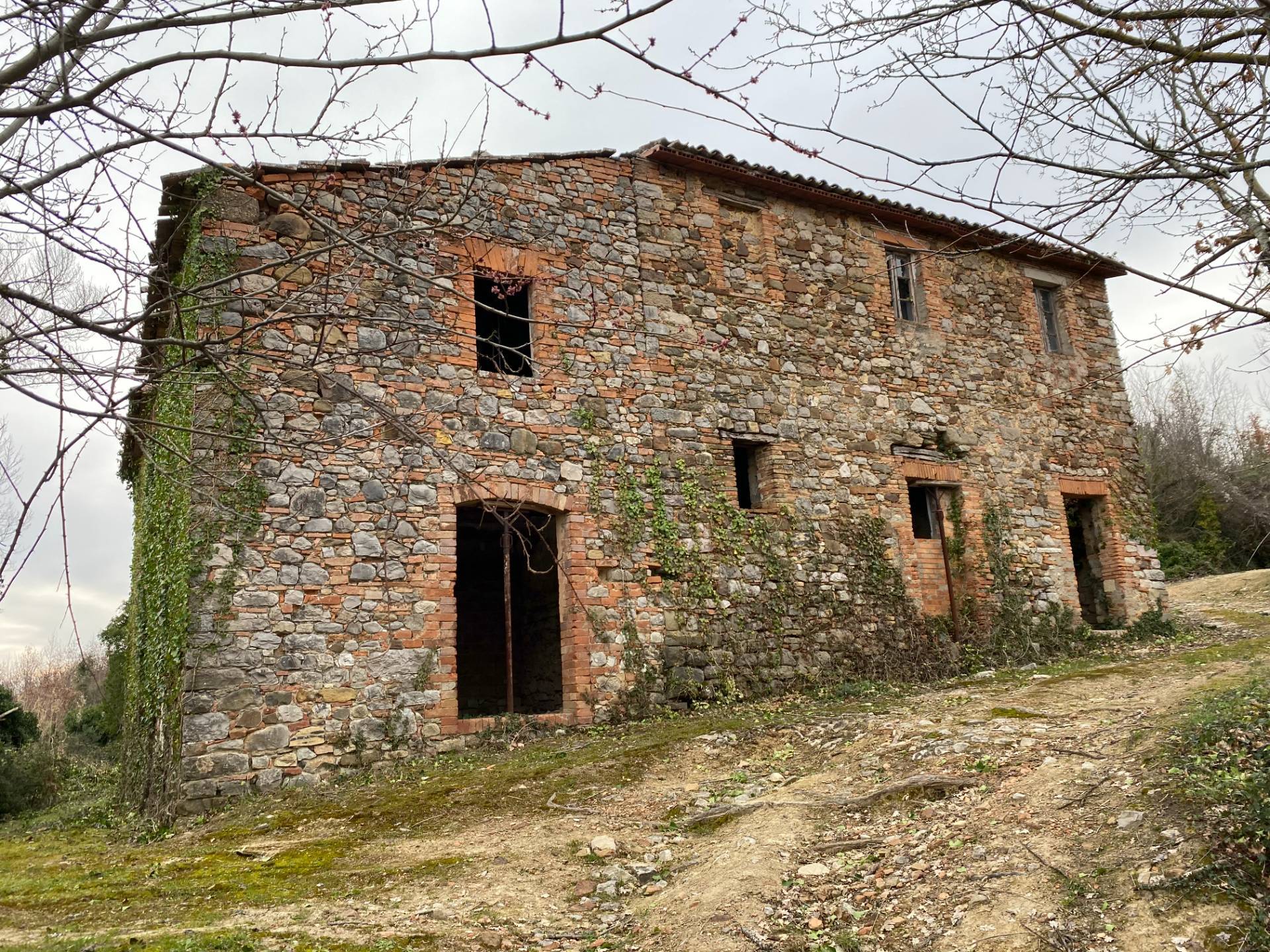 Rustico in vendita a San Venanzo, Ripalvella