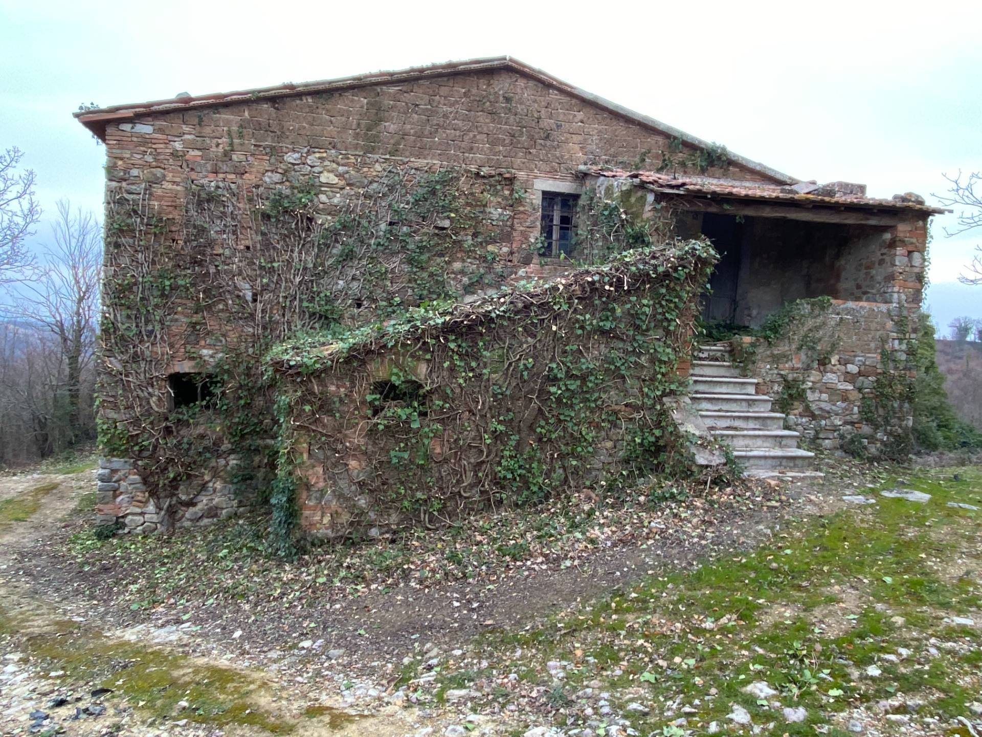 Rustico in vendita a San Venanzo, Ripalvella