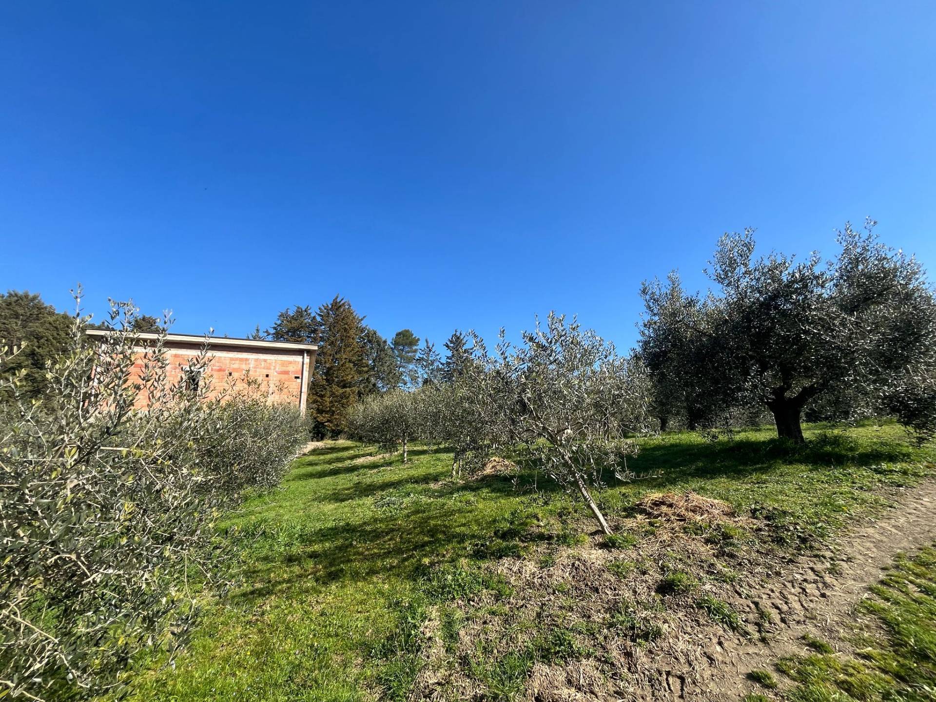 Terreno Agricolo in vendita a Collazzone, Gaglietole