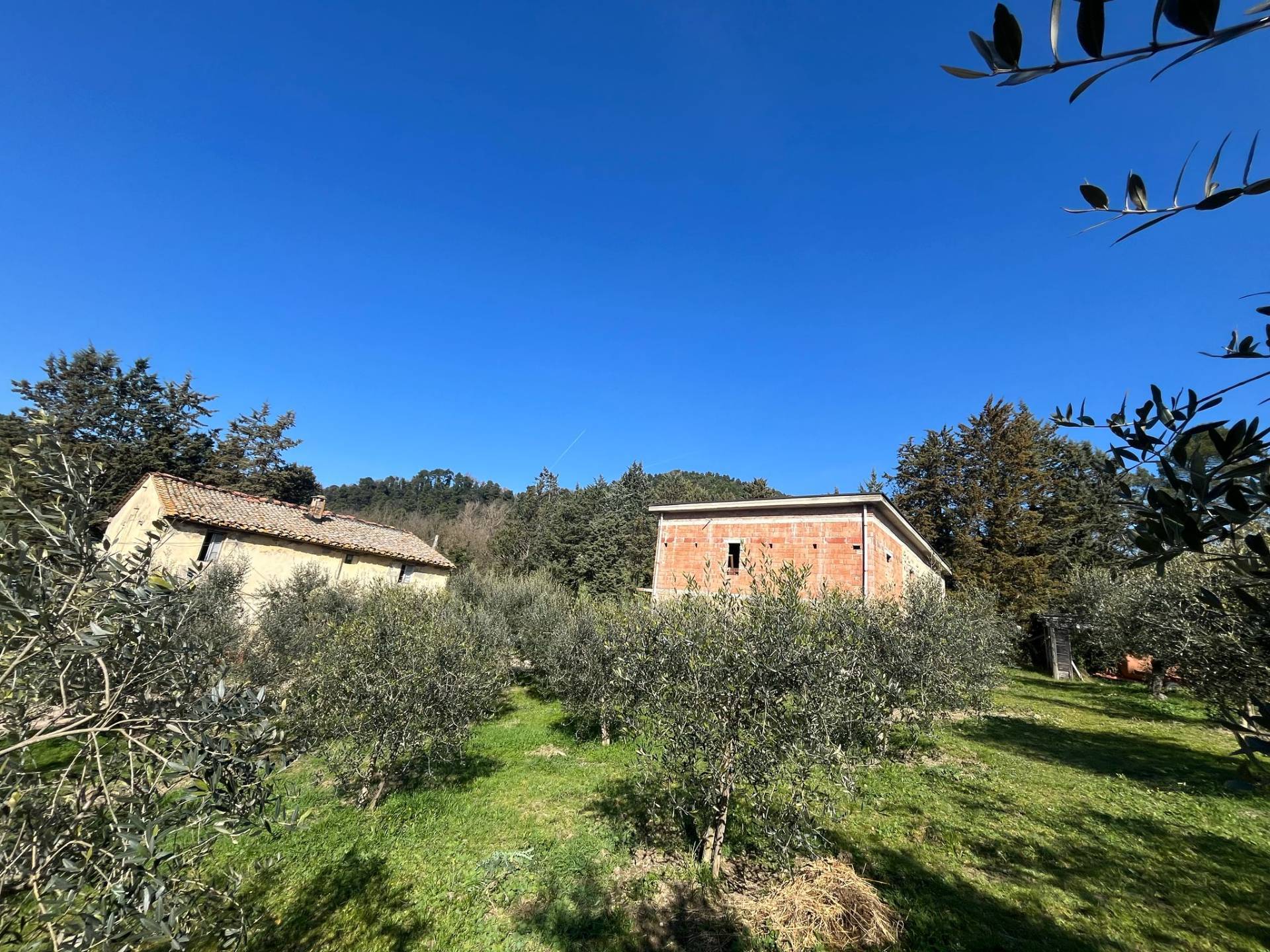 Terreno Agricolo in vendita a Collazzone, Gaglietole