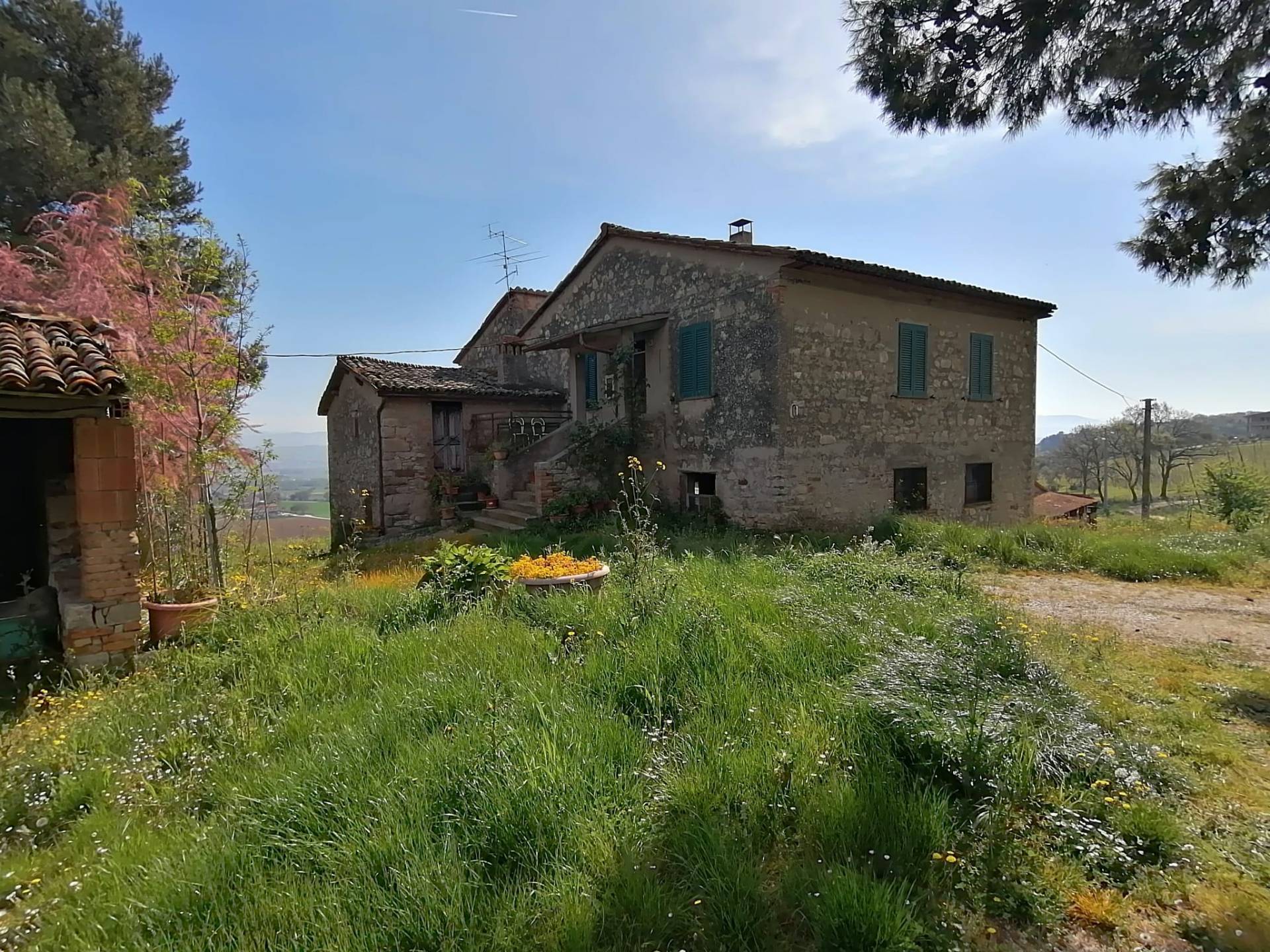 Casa singola in vendita a San Venanzo, Collelungo