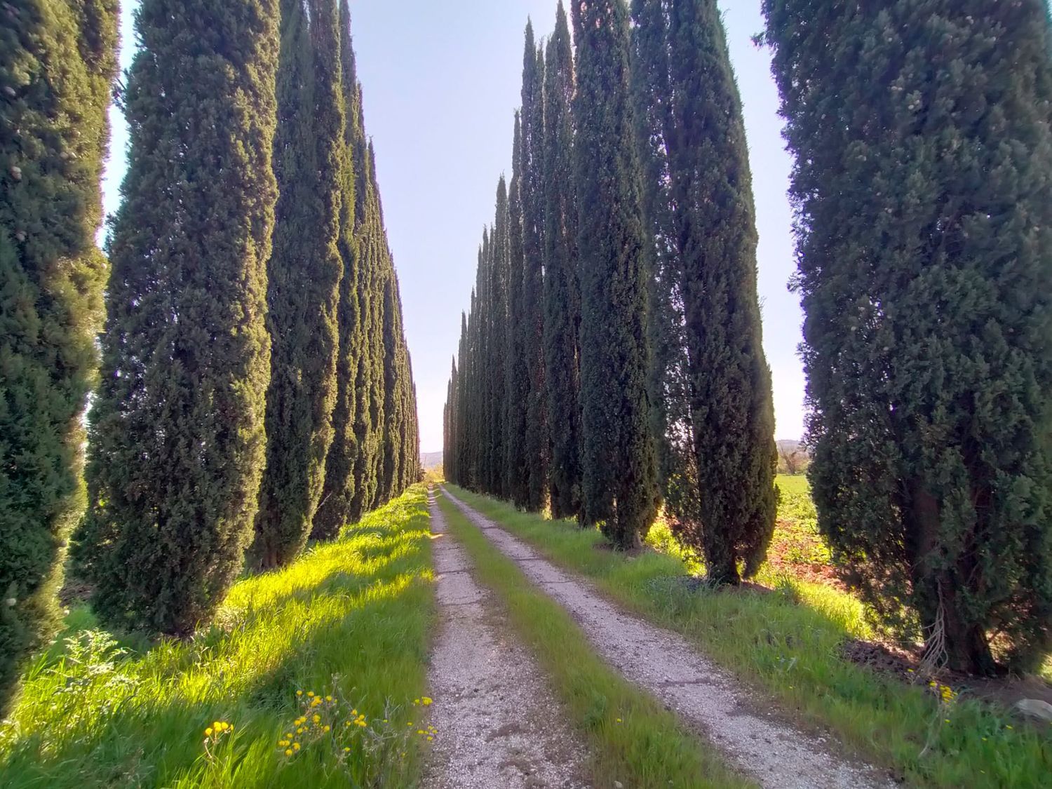 Casa singola in vendita a Marsciano, Schiavo