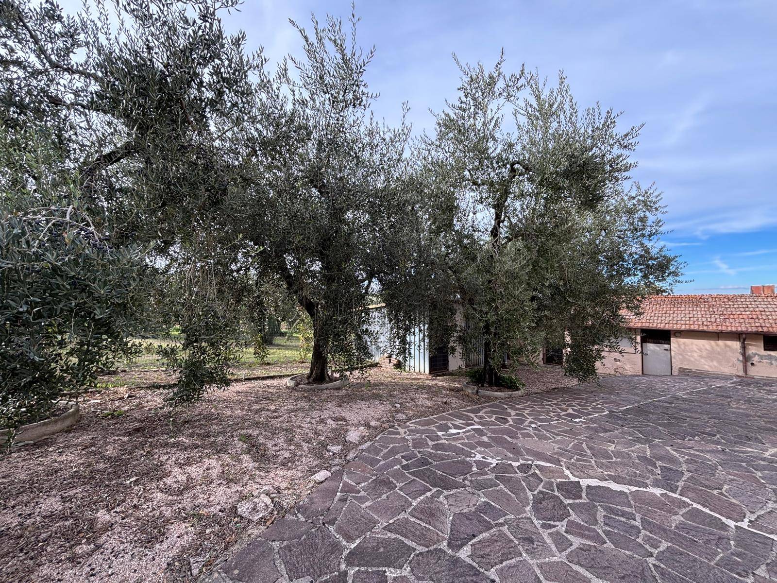 Casa singola in vendita a Marsciano, Castello delle Forme