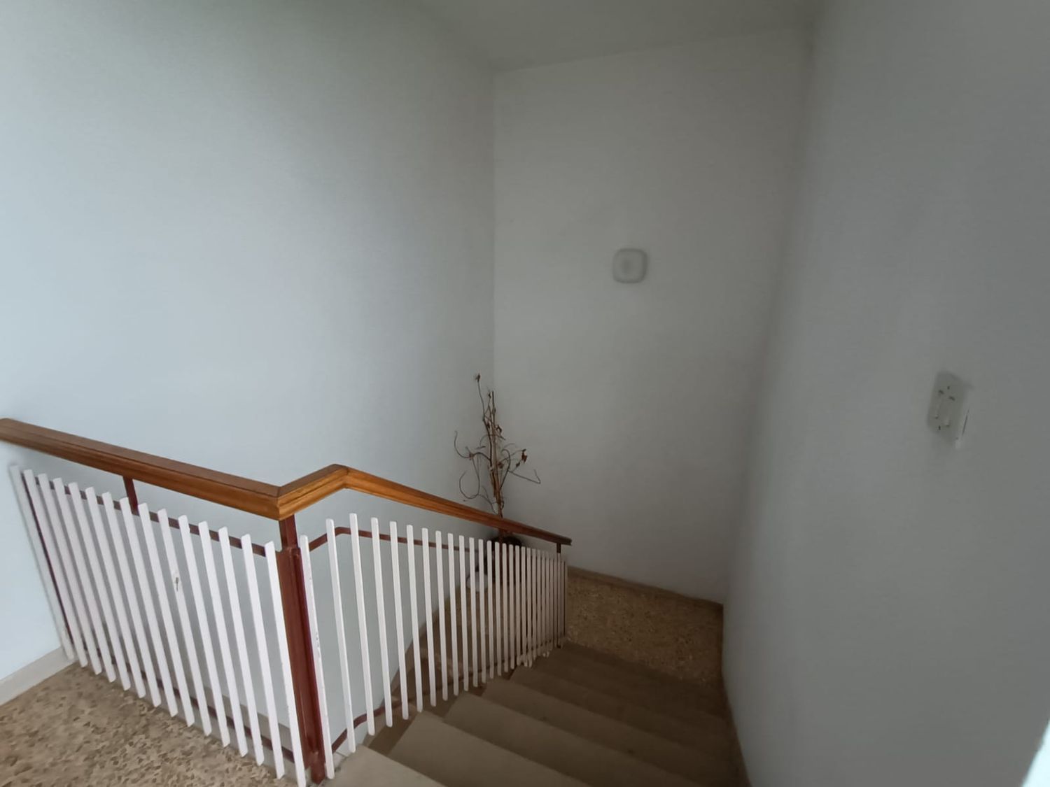 Appartamento in vendita a San Venanzo