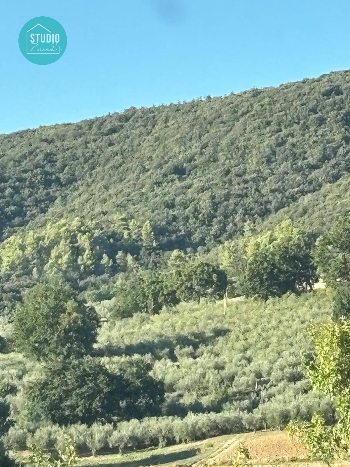 Terreno Agricolo in vendita a Gualdo Cattaneo, Pomonte