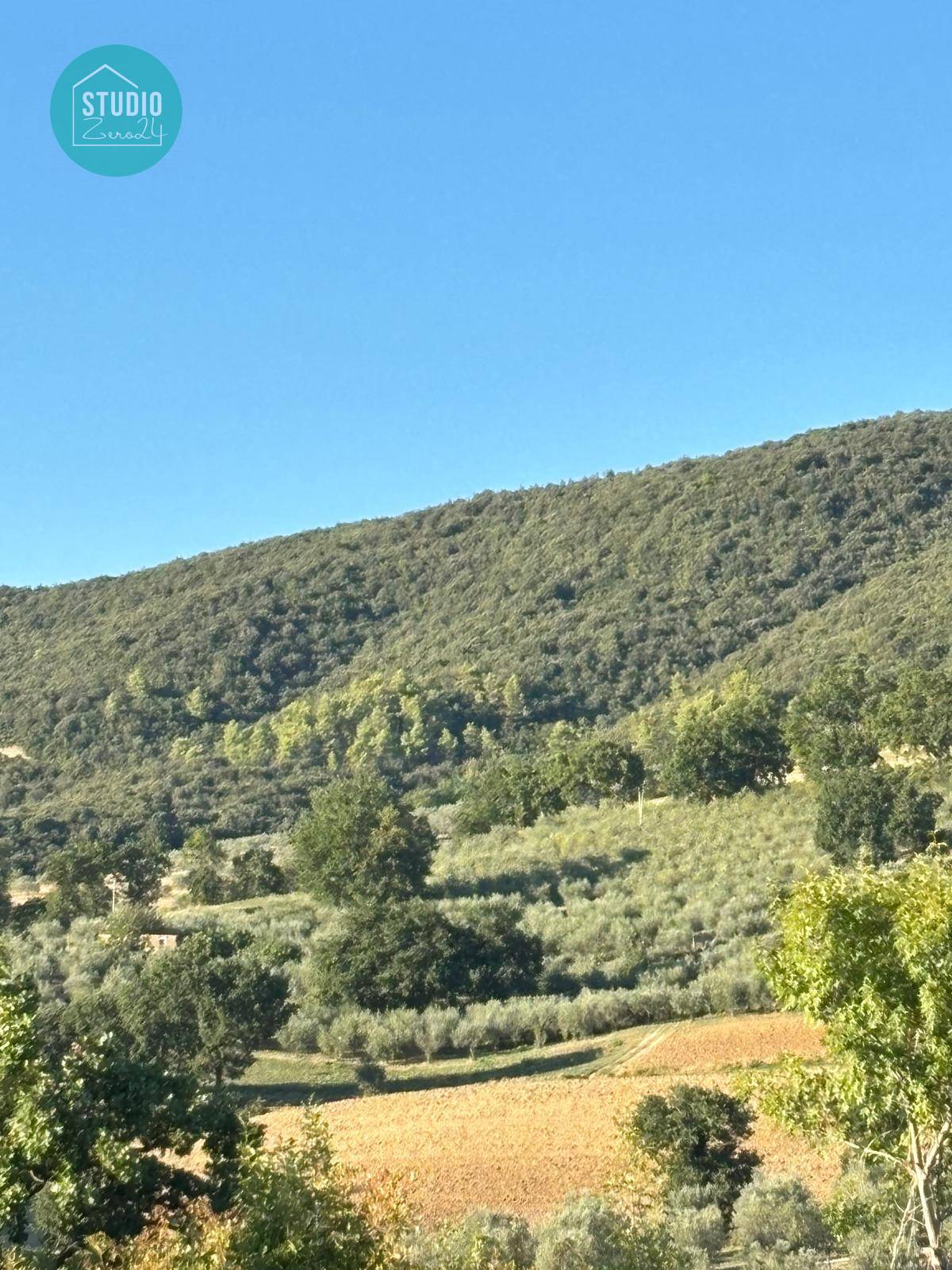 Terreno Agricolo in vendita a Gualdo Cattaneo, Pomonte