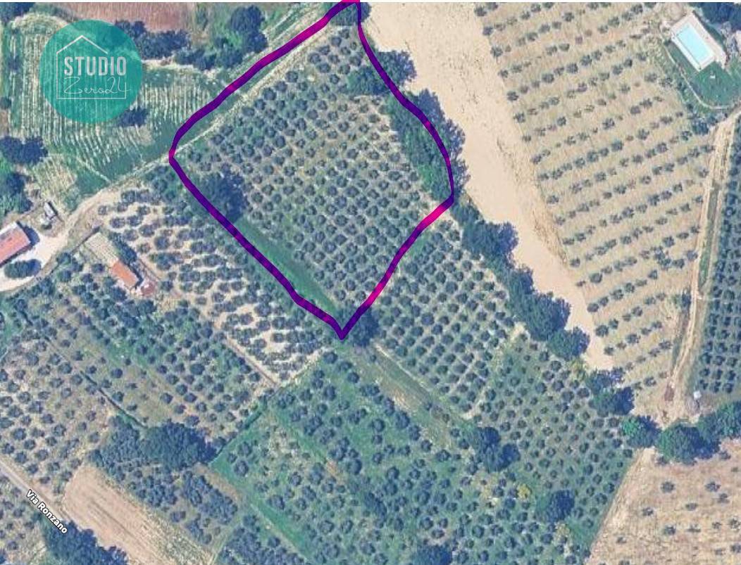 Terreno Agricolo in vendita a Gualdo Cattaneo, Pomonte