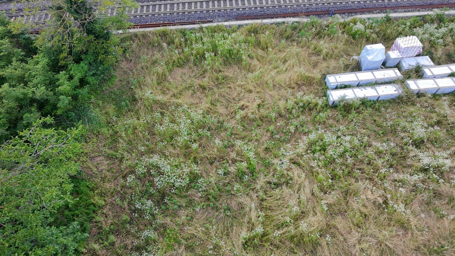 Terreno Agricolo in vendita a Galbiate