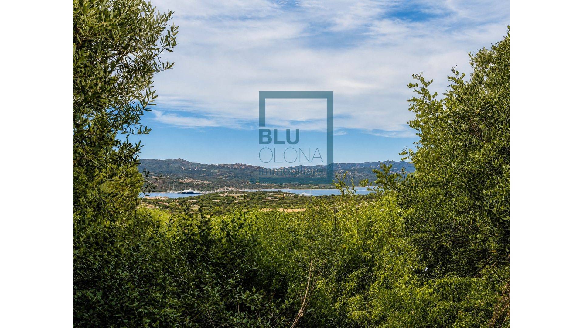 Appartamento in vendita a Olbia