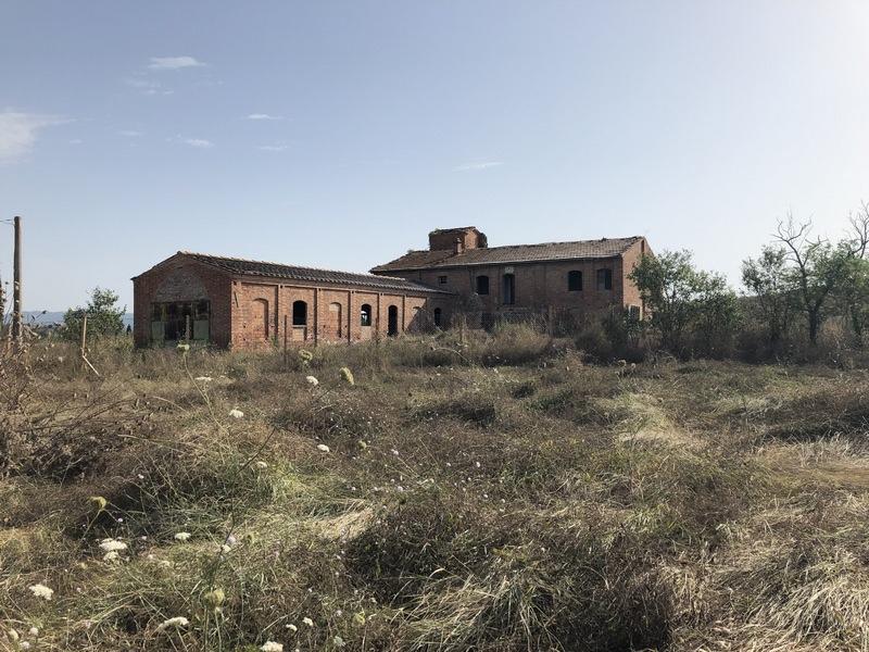 Rustico con giardino, Asciano arbia