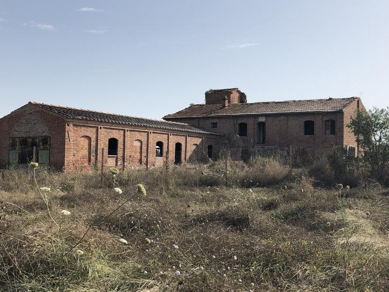 Rustico con giardino, Asciano arbia