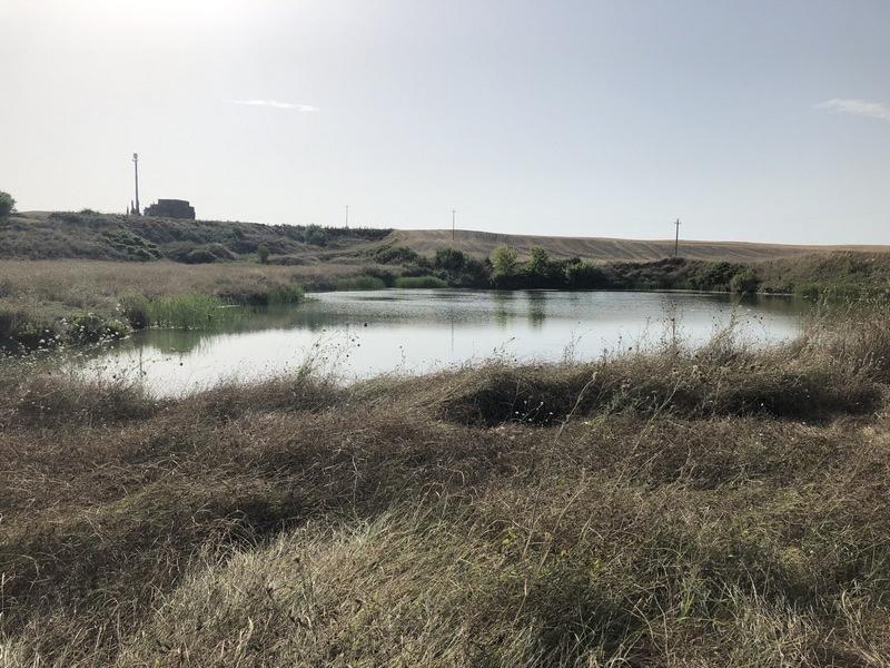 Rustico con giardino, Asciano arbia