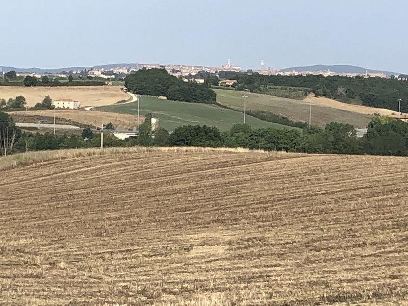 Rustico con giardino, Asciano arbia